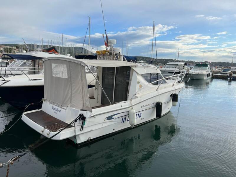 DORADO 26  1