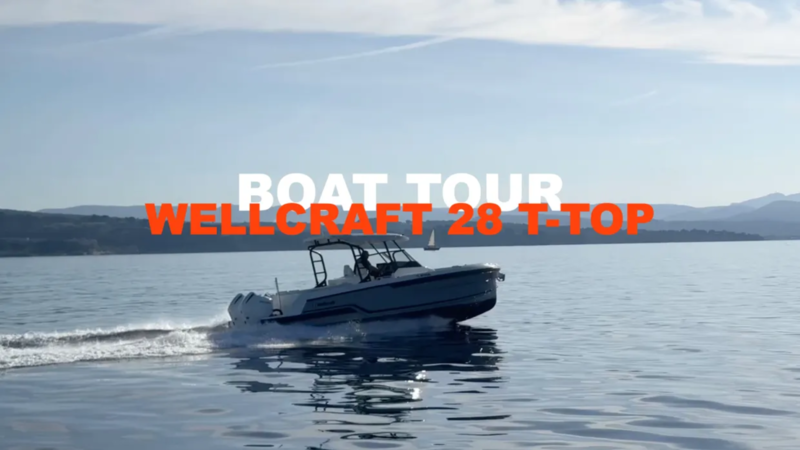 WELLCRAFT 28 T-TOP